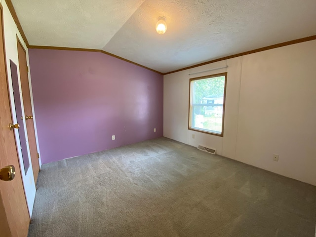 225 Jay St Unit 12, Sandstone, MN 55072 - empty room with carpet flooring, ornamental molding, lofted ceiling, and a textured ceiling