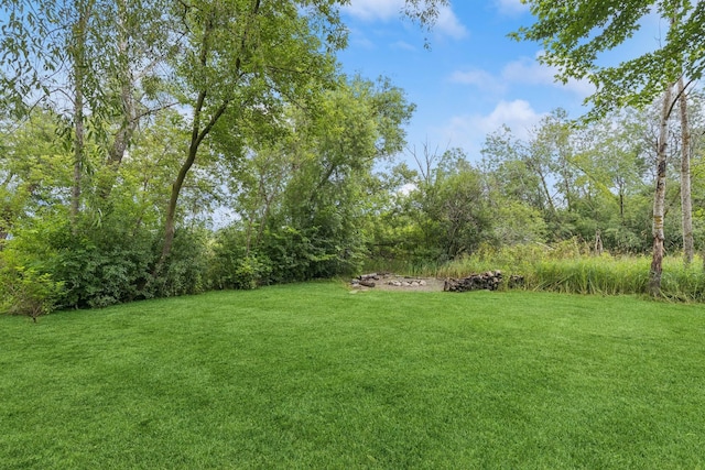 551 Townes Rd, Minnetonka, MN 55391 - view of green lawn
