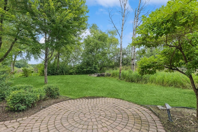 551 Townes Rd, Minnetonka, MN 55391 - view of green lawn with a patio area