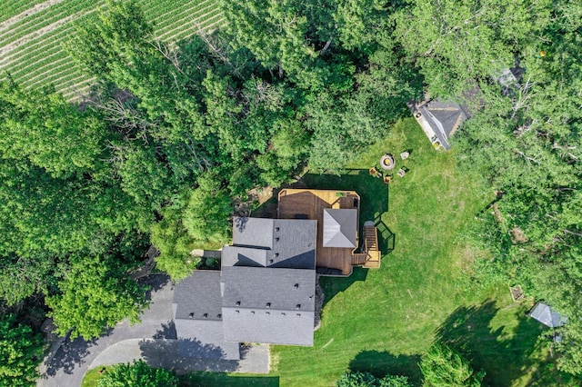 15995 Finley Ave N, Hugo, MN 55038 - photo 39