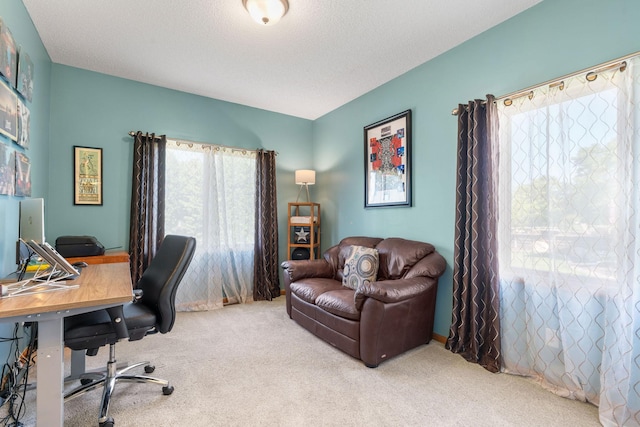 17747 Formosa Ave, Lakeville, MN 55044 - photo 53