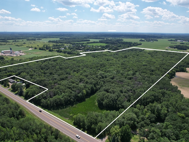 TBD 17th St, Santiago Twp, MN 55319 - photo 4
