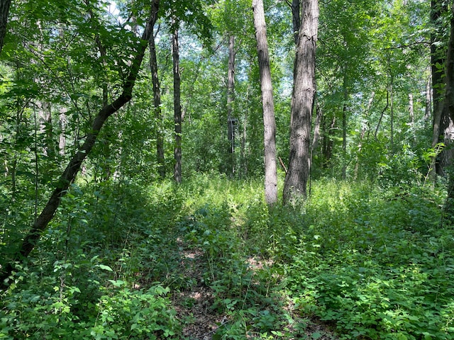 TBD 17th St, Santiago Twp, MN 55319 - photo 11