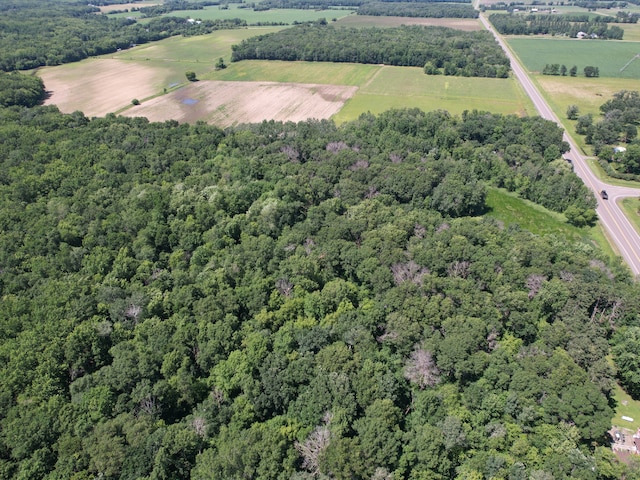 TBD 17th St, Santiago Twp, MN 55319 - photo 13
