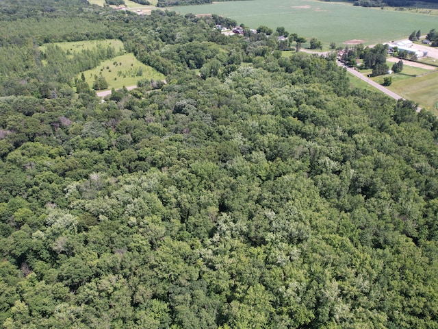 TBD 17th St, Santiago Twp, MN 55319 - photo 14