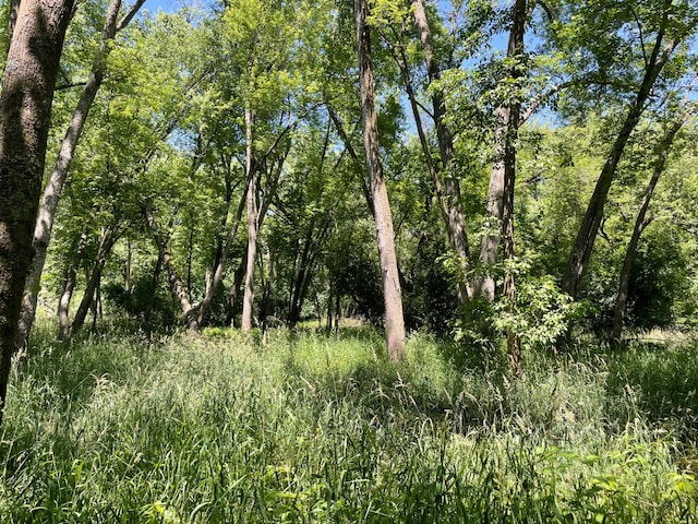 TBD 17th St, Santiago Twp, MN 55319 - photo 20