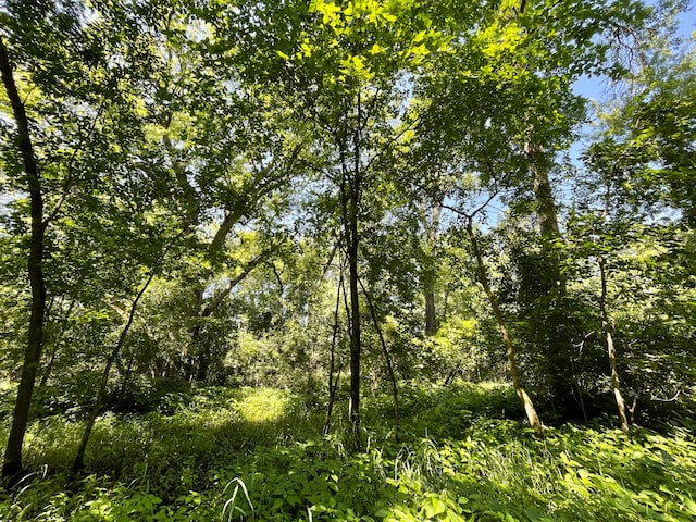 TBD 17th St, Santiago Twp, MN 55319 - photo 23