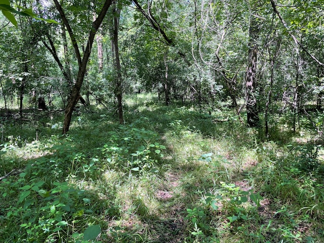 TBD 17th St, Santiago Twp, MN 55319 - photo 27