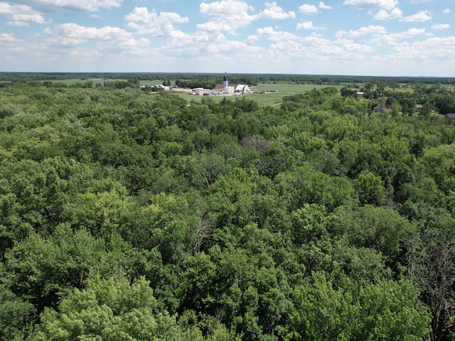 TBD 17th St, Santiago Twp, MN 55319 - photo 28