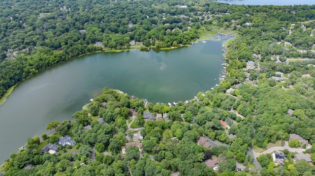 6620 Horseshoe Curv, Chanhassen, MN 55317 - photo 2