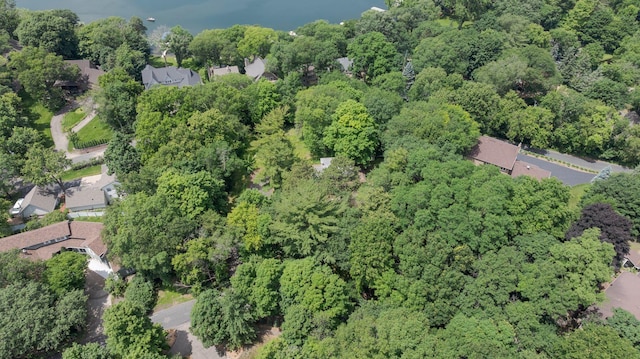 6620 Horseshoe Curv, Chanhassen, MN 55317 - photo 3