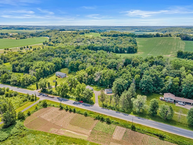 1273 County Rd N, Kinnickinnic Twp, WI 54023 - view of rural area featuring rows of crops