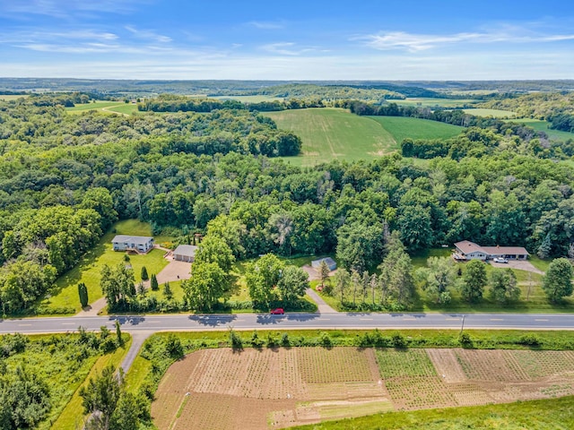 1273 County Rd N, Kinnickinnic Twp, WI 54023 - view of rural area featuring extensive farmland