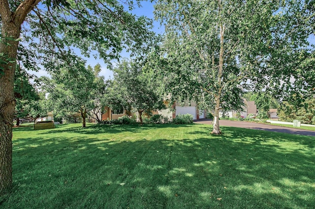 5640 146th Ave NW, Ramsey, MN 55303 - photo 4