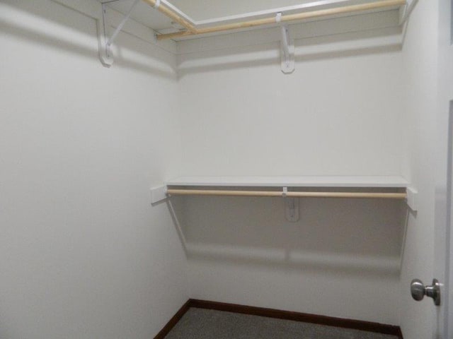 2109 6th Ave NE, Kasson, MN 55944 - view of spacious closet