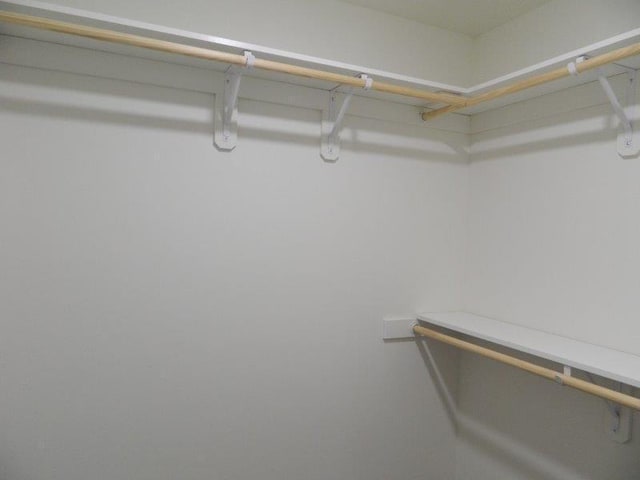 2109 6th Ave NE, Kasson, MN 55944 - view of walk in closet