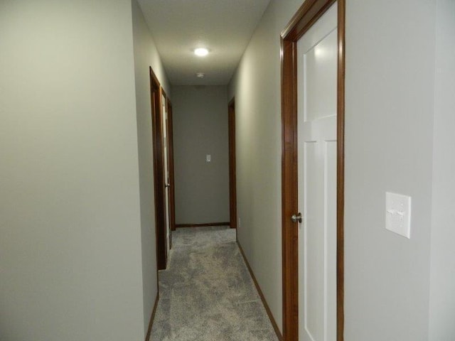 2109 6th Ave NE, Kasson, MN 55944 - hall featuring carpet floors and baseboards