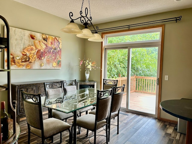 7263 Falmouth Curv, Shakopee, MN 55379 - dining room featuring a textured ceiling and wood finished floors