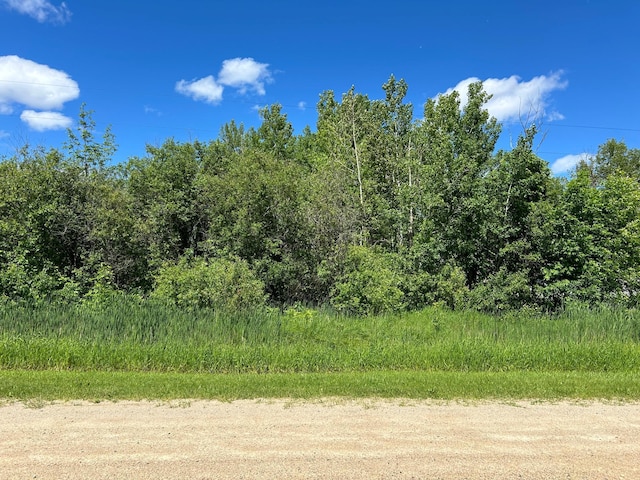 TBD Graceton Beach Rd NW, Williams, MN 56686