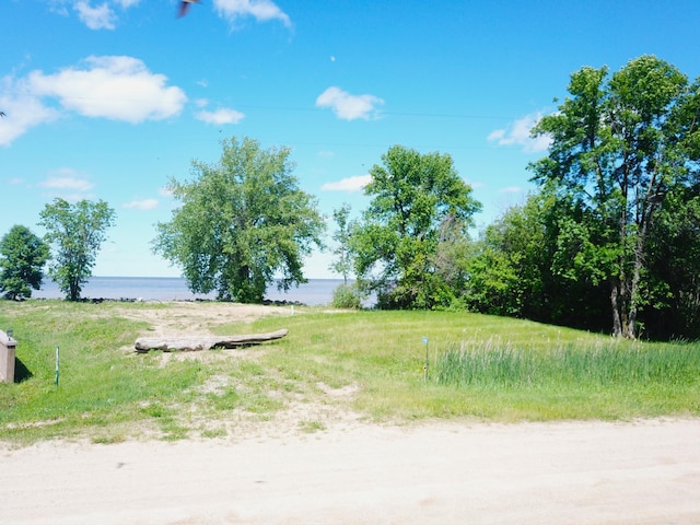 4548 Graceton Beach Rd NW, Williams, MN 56686