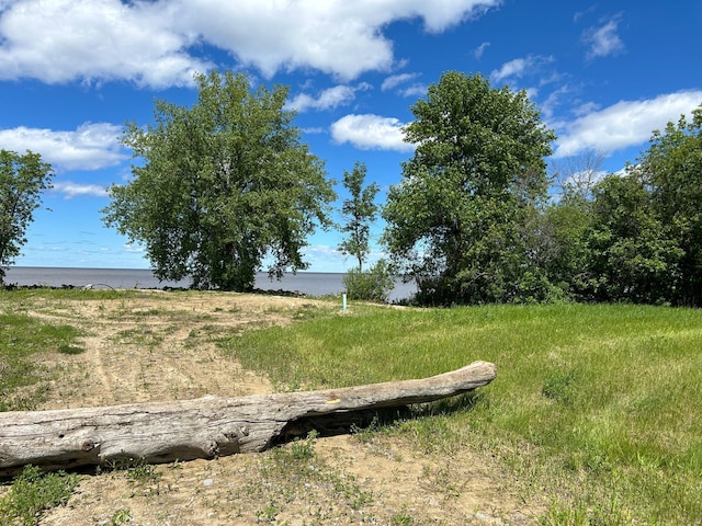 4548 Graceton Beach Rd NW, Williams, MN 56686