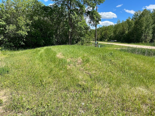 4548 Graceton Beach Rd NW, Williams, MN 56686