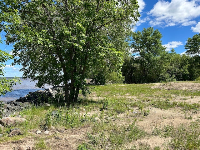 4548 Graceton Beach Rd NW, Williams, MN 56686