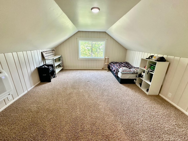 507 6th St NE, Roseau, MN 56751 - photo 18