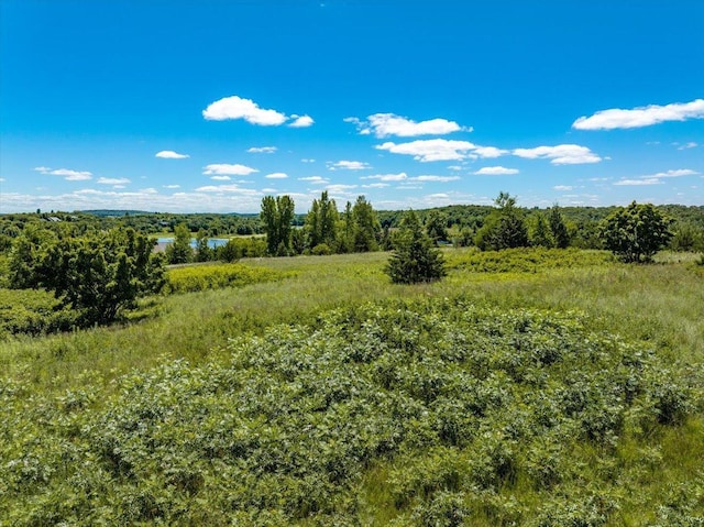 796 165th Ave, Somerset, WI 54017 - photo 3