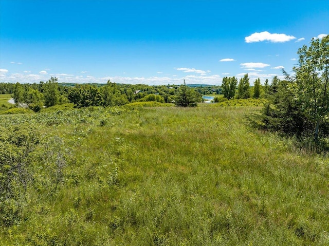 796 165th Ave, Somerset, WI 54017 - photo 2