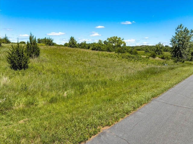 796 165th Ave, Somerset, WI 54017 - photo 4