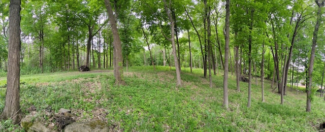 305 N Shore Dr W, Minnetrista, MN 55364 - photo 6