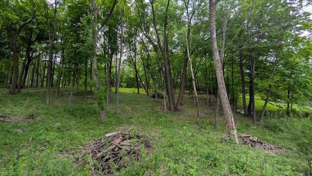 305 N Shore Dr W, Minnetrista, MN 55364 - photo 7