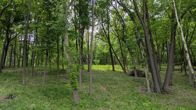 305 N Shore Dr W, Minnetrista, MN 55364 - photo 8