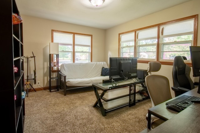725 3rd St S, Cold Spring, MN 56320 - photo 11