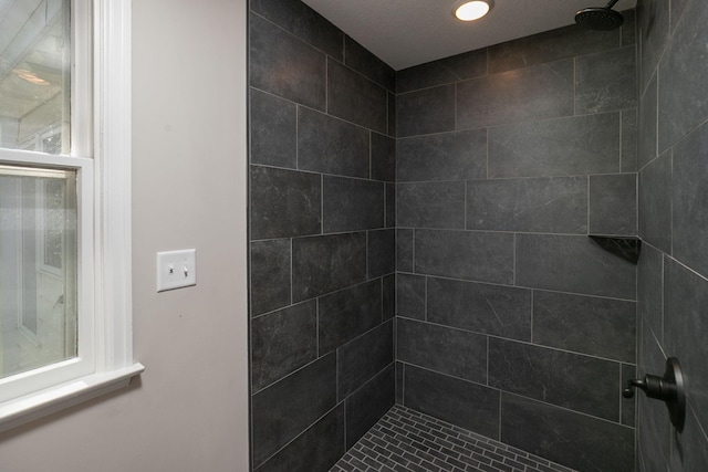 405 River St SW, Chatfield, MN 55923 - bathroom with a tile shower