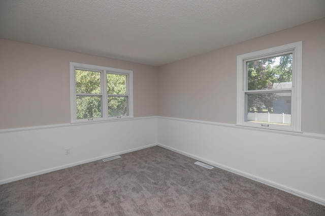 405 River St SW, Chatfield, MN 55923 - spare room with healthy amount of natural light, carpet, and a textured ceiling