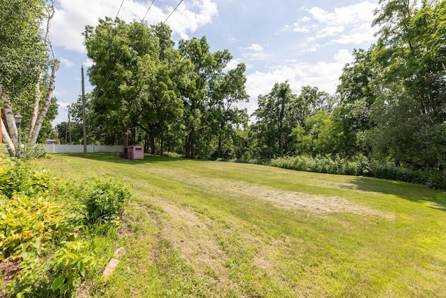 405 River St SW, Chatfield, MN 55923 - view of yard with a storage unit