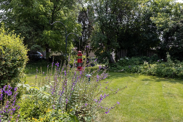 3979 Reservoir Blvd, Columbia Heights, MN 55421 - view of green lawn