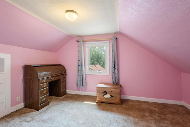 3979 Reservoir Blvd, Columbia Heights, MN 55421 - additional living space with lofted ceiling, a textured ceiling, and carpet floors