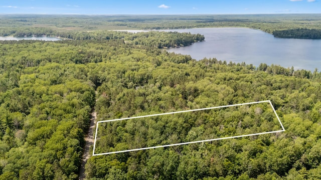 36573 Palmer Dr, Crosslake, MN 56447