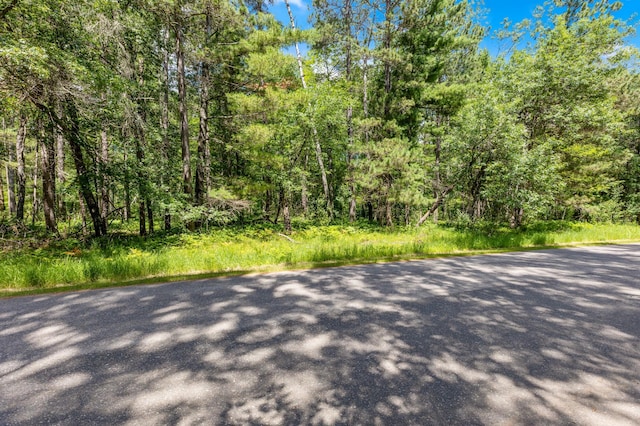 36573 Palmer Dr, Crosslake, MN 56447