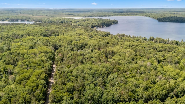 36573 Palmer Dr, Crosslake, MN 56447