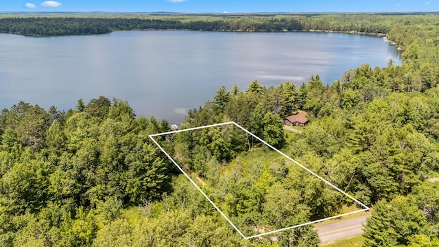 36573 Palmer Dr, Crosslake, MN 56447