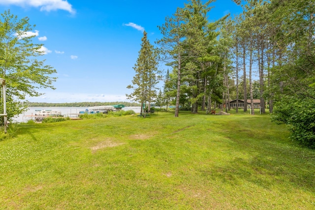 36573 Palmer Dr, Crosslake, MN 56447