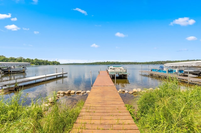 36573 Palmer Dr, Crosslake, MN 56447