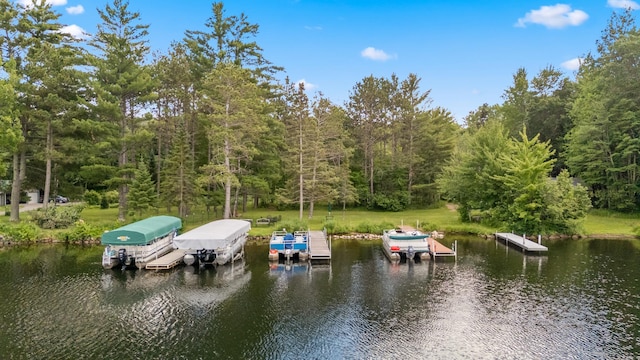 36573 Palmer Dr, Crosslake, MN 56447