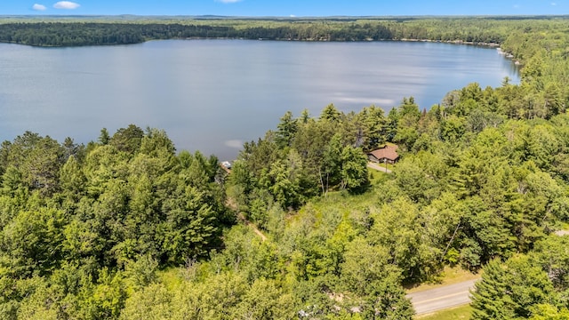 36573 Palmer Dr, Crosslake, MN 56447