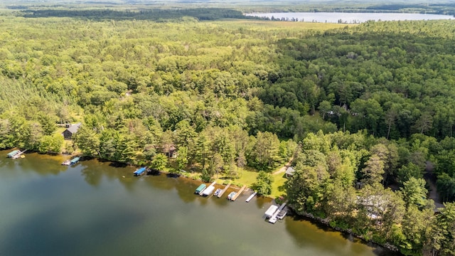 36573 Palmer Dr, Crosslake, MN 56447