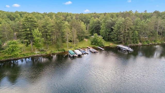 36573 Palmer Dr, Crosslake, MN 56447